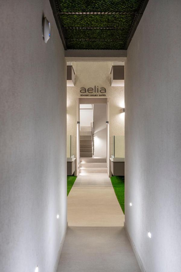 Aelia Seaside Luxury Suites Nea Karvali Extérieur photo